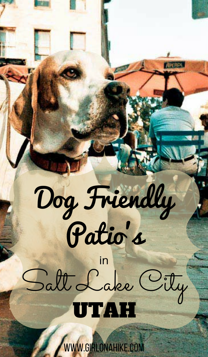 Dog Friendly Restaurant Patios in Salt Lake City Girl on a Hike