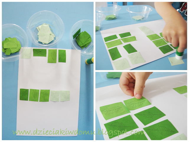 zielnik z liśćmi drzew, jak rozpoznać drzewo po jego liściu - kreatywne zabawy zielnik z liśćmi drzew, jak rozpoznać drzewo po jego liściu - kreatywne zabawy