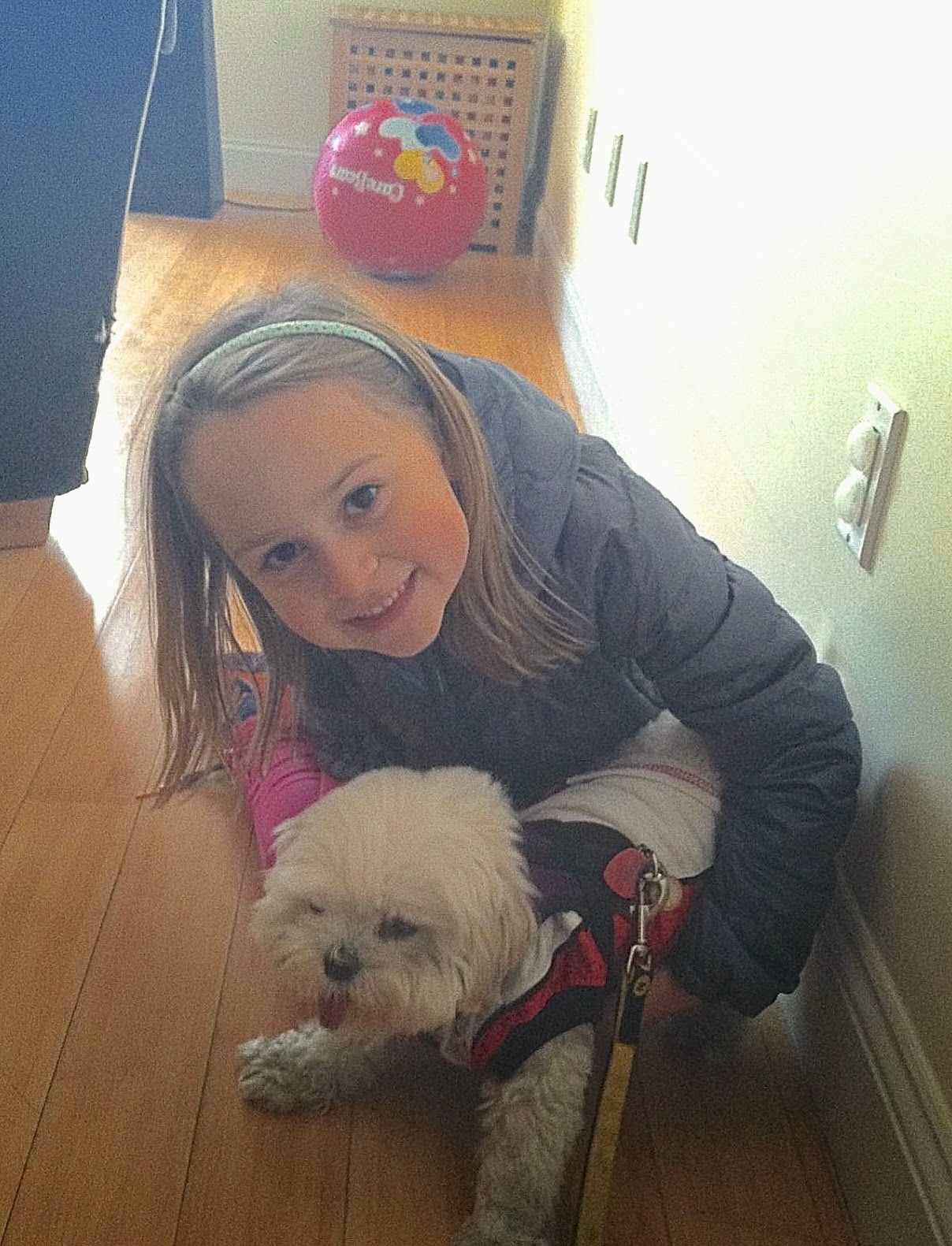 Jason The Dog Walker and Company. HAPPY WINTER DOG WALKING IN PARK SLOPE, BROOKLYN!!!