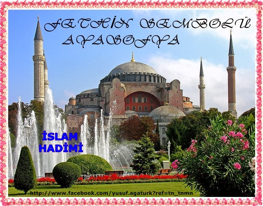 788px-Turkey-3019_-_Hagia_Sophia_%25282216460729%2529.jpg