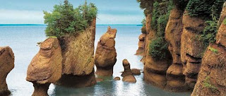 (Canada) - Bay of Fundy - Walk on the ocean floor