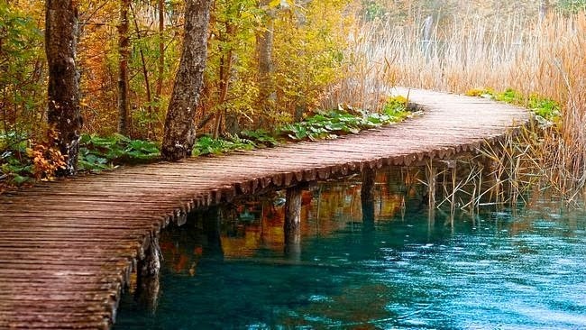 latest wallpaper: Most Download Hd WallPapers