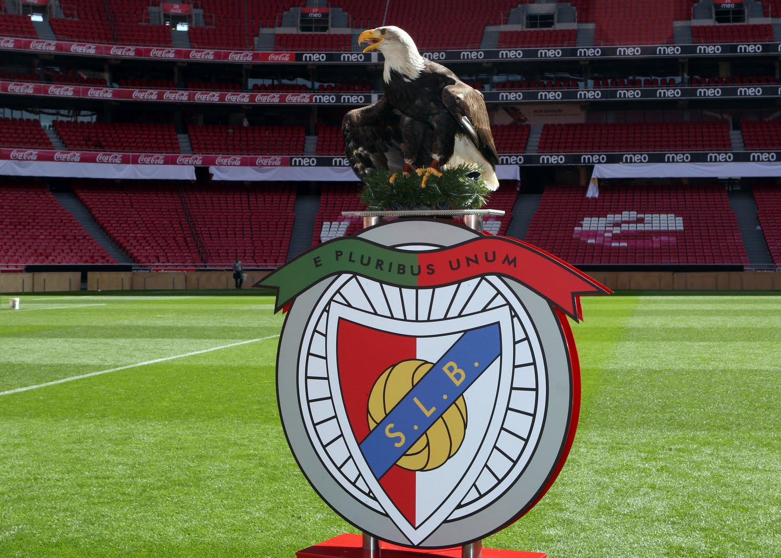 Moments By Duarte Roriz A nossa nova Águia, a nova Vitória!!!