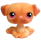 Littlest Pet Shop Carry Case Pug (#No #) Pet