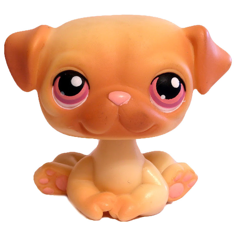 lps pug