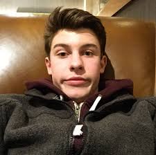 MelatiFadiyah`s Blog: Fakta Shawn Mendes