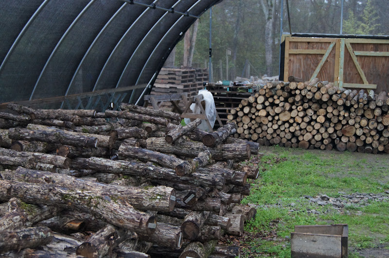 Elm Street Gardens Sparta, GA