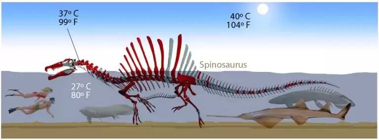  Apa  perbedaan Reptil  Purba dengan Dinosaurus 