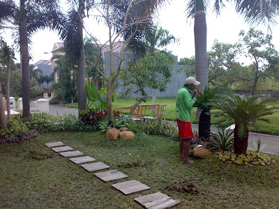 taman minimalis outdoor - www.jasataman.co.id