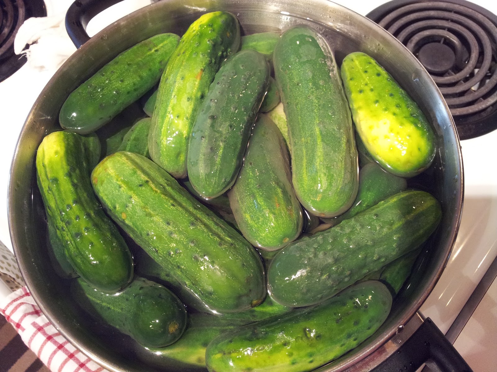 오이지 (Korean Salted Cucumber / Oi-Jee)