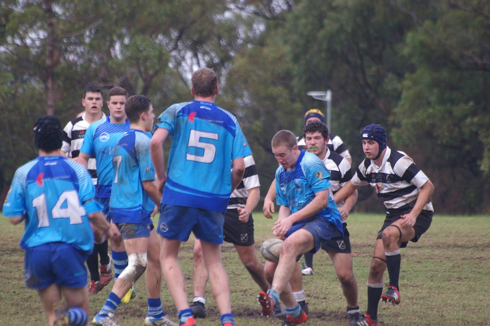 Blue Mountains Rugby Overflow: June 2016