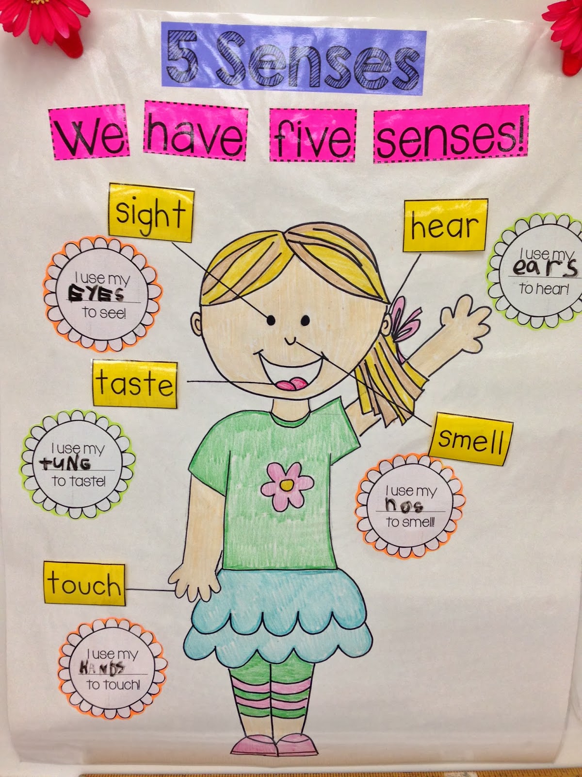 Five Senses Anchor Chart Printable - Free Printable Templates