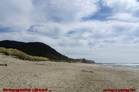 Oregon Stone field Beach