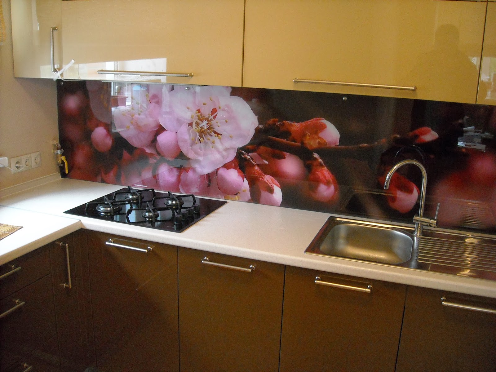 Стеклянный фартук на кухню Новосибирск.: Стеклянный фартук в ...