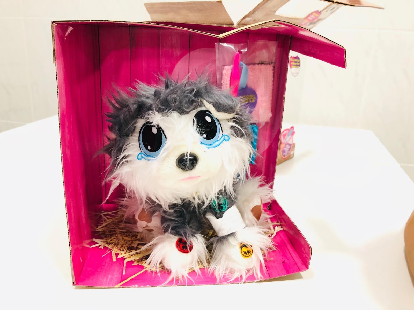 perrito busca hogar bandai