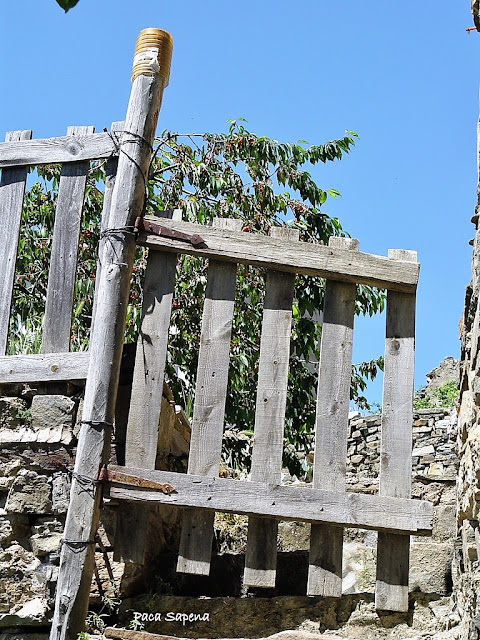 La Rioja de la A a la Z SAN VICENTE DE MUNILLA Pueblo Despoblado en