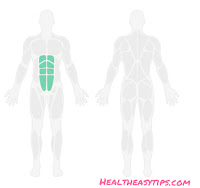 Best exercises and ADS | training for Beginners Best exercises and ADS | training for Beginners
