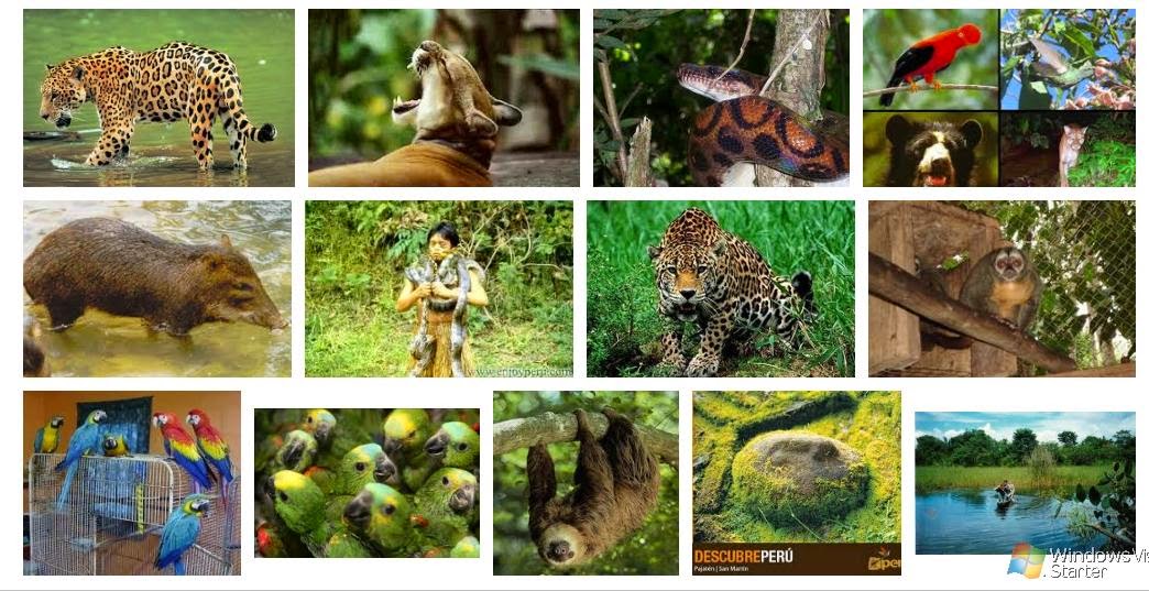 Fauna del Ecuador Fauna en La Región Costa Fauna del Ecuador Fauna en La Región Costa