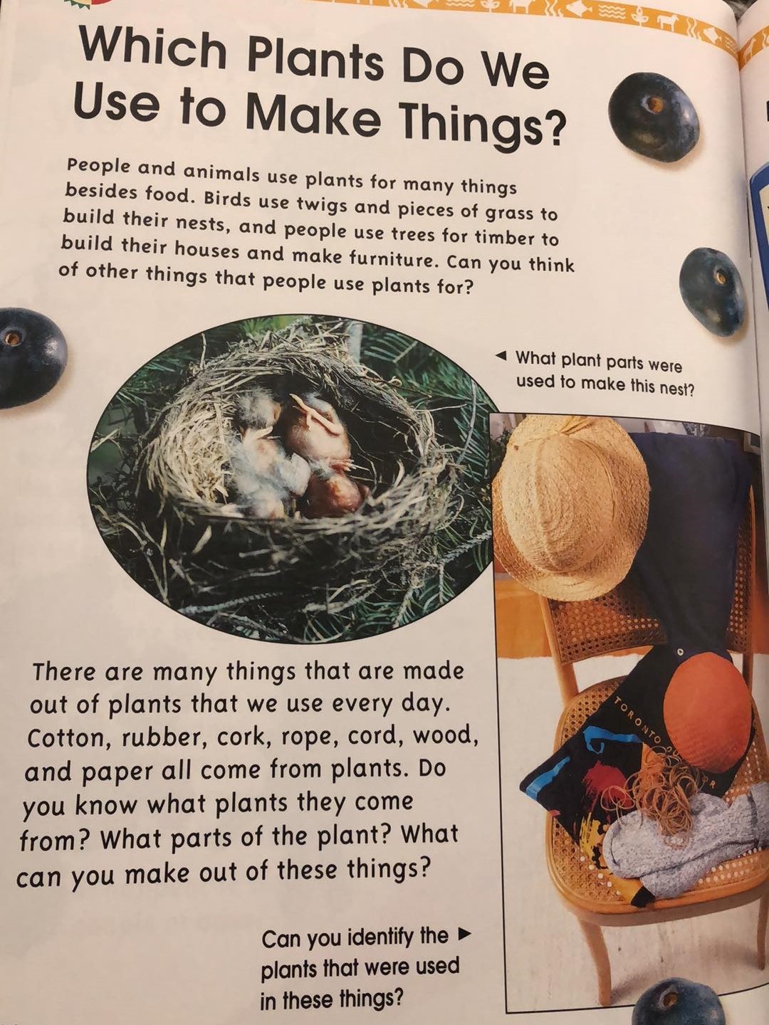 Mrs.Taylor's Mighty 3 How do animals and humans use plants?