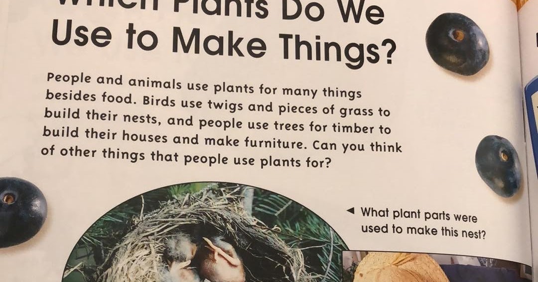 Mrs.Taylor's Mighty 3 How do animals and humans use plants?