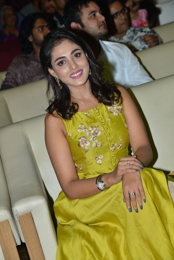 Madhu Shalini at Goodachari Pre Release Function