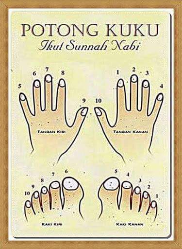 Cara Memotong Kuku