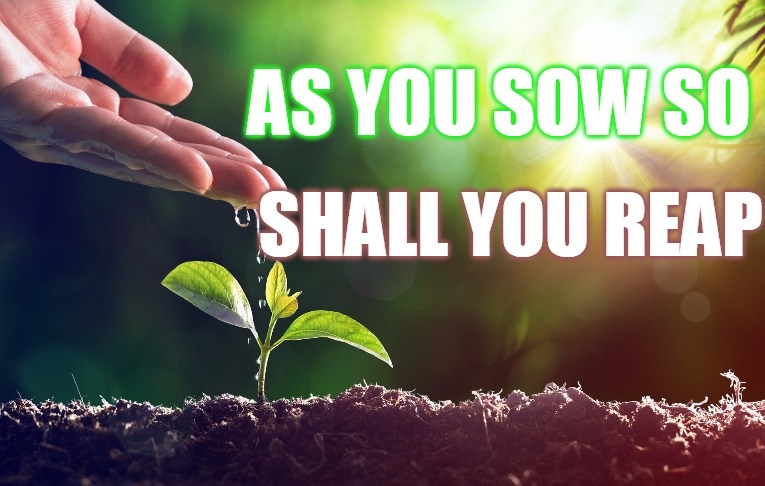 essay on as you sow you shall reap