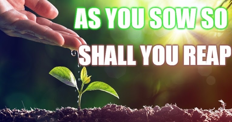 what you sow is what you reap essay what you sow is what you reap essay