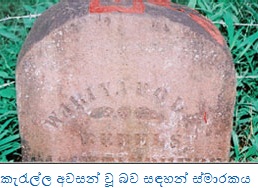 matale1.jpg