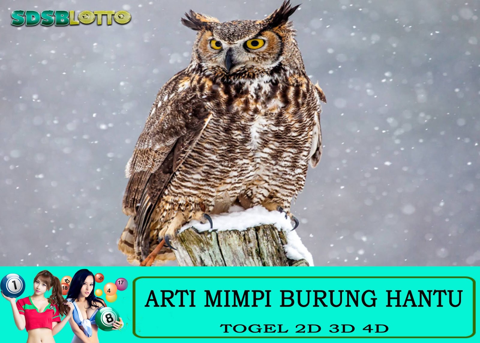 ♔ Mimpi melihat burung hantu togel