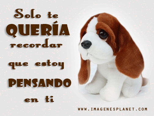 Imágenes bonitas de peluches de amor animadas con movimiento