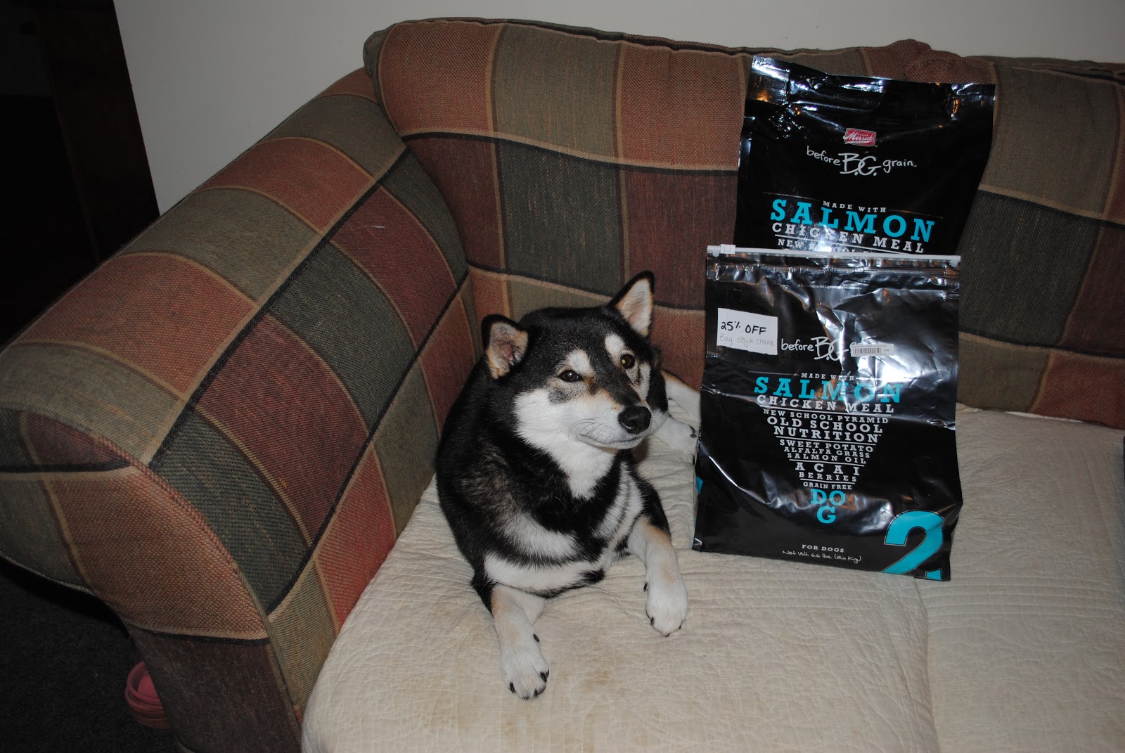 Saya's adventure Merrick Before Grain