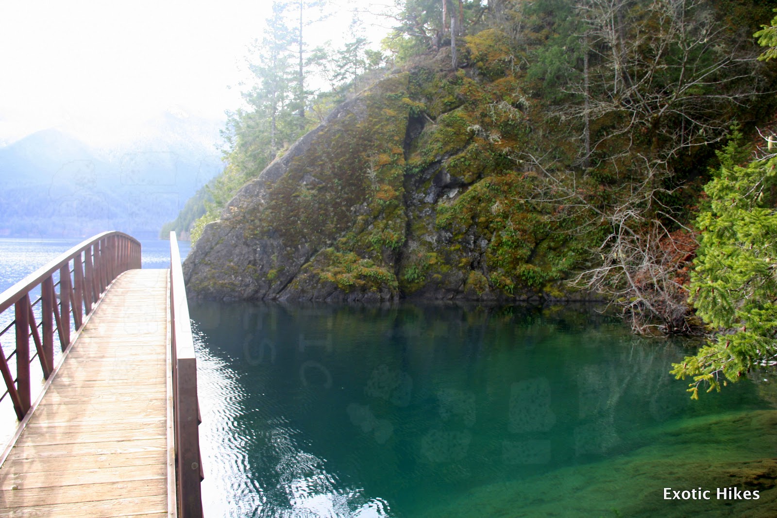 Olympic Peninsula Hikes, Guides and Updates Lake Crescent and Marymere