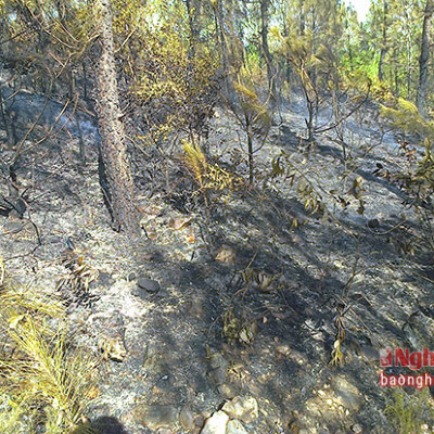 Kem vani thom ngon, mat lanh cho ngay nang - Anh 7