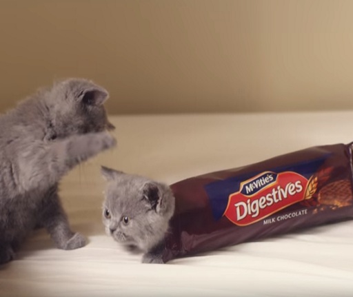 mcvities cat advert