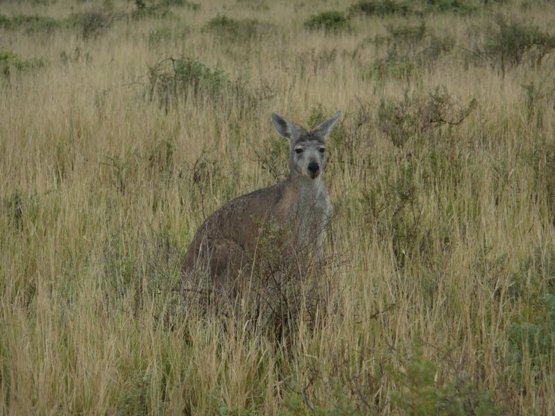Nele & Andrew Around Oz Lakeside Campsite, Cape Range National Park