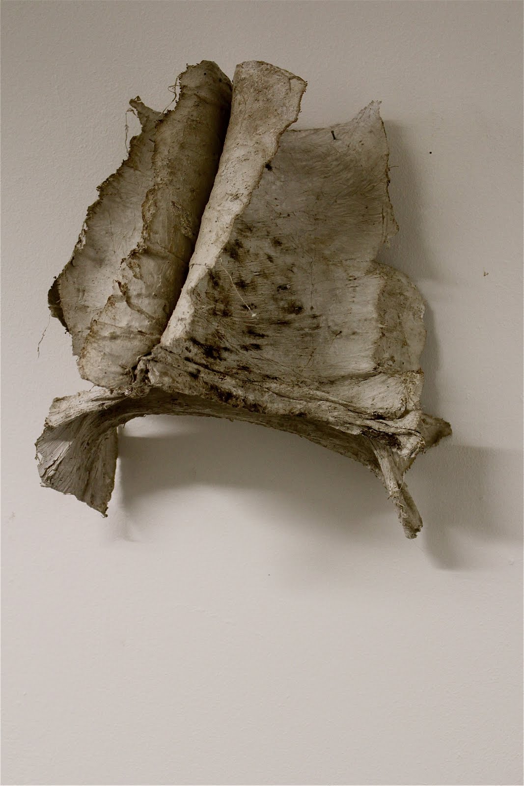 Lucy Fudge: Development work, 2011. Fragmented Figure. Bandage and Earth.
