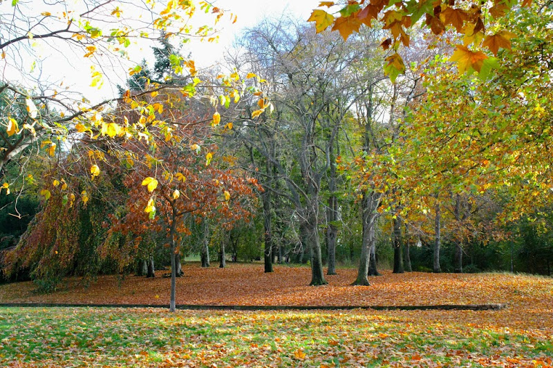 Viktoriapark Berlín otoño