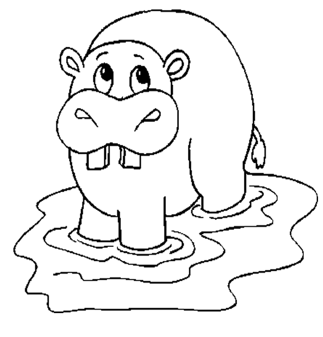Hippo Coloring Sheet Cute Hippo Coloring Pages To Kids