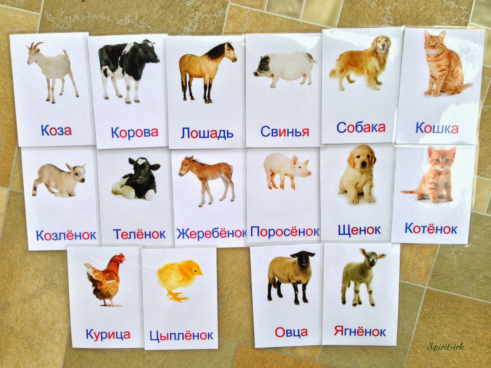Сделано Любовью: Карточки Домана. Животные | Животные, Обучение малышей ...