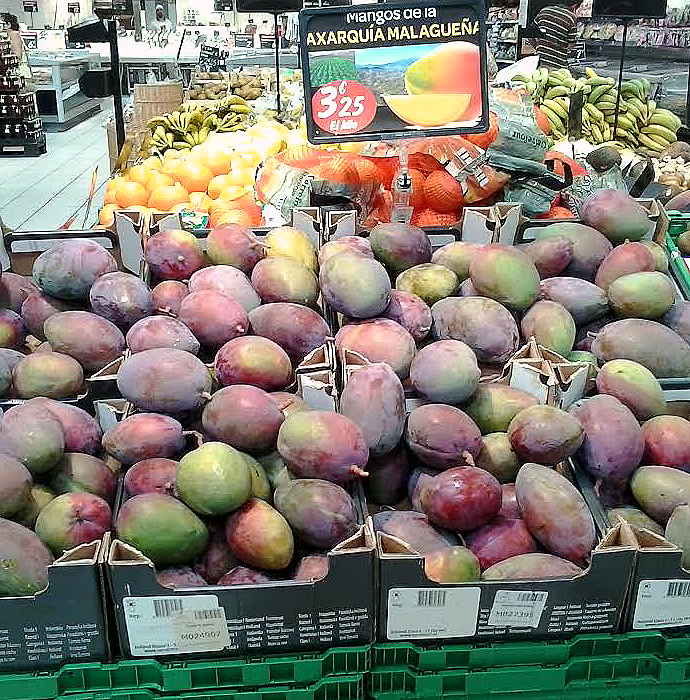 MY KITCHEN IN SPAIN MANGO MANIA