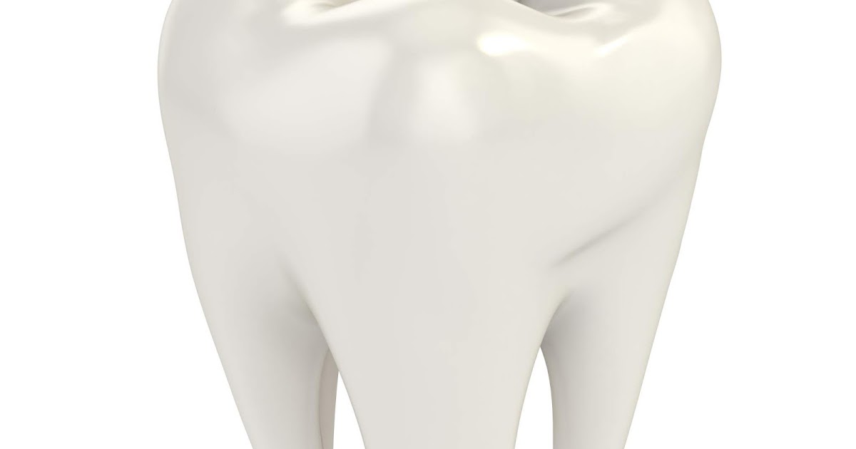 Regency Dental Group: The Composition of a Tooth Regency Dental Group: The Composition of a Tooth