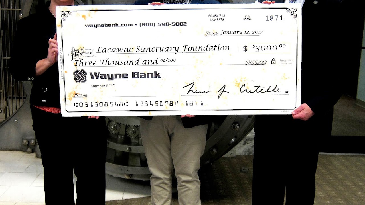 Wayne Bank Online Banking Bank Choices