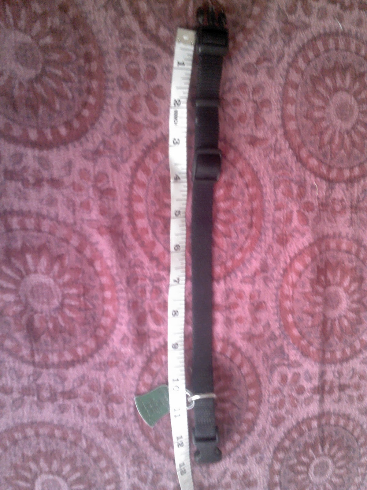 Snapon Buttons Dog Collar Cover DIY