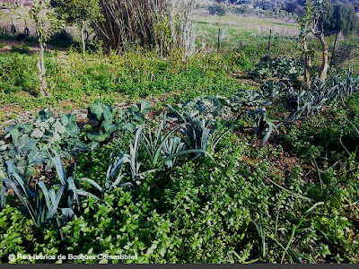 diseño de bosques comestibles en españa diego luis lópez perez