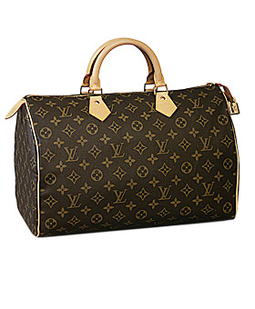 Bag Louis Vuitton | Bag Organizer Images