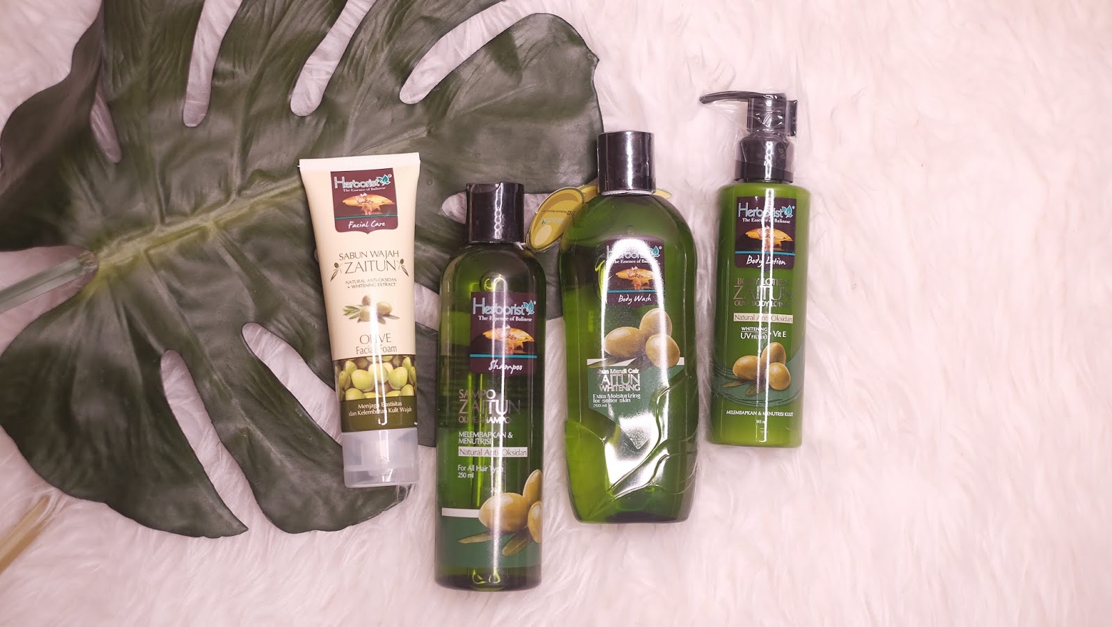 REKOMENDASI BODY LOTION UNTUK KULIT KERING Review Herborist Body Lotion Zaitun Kania Dachlan