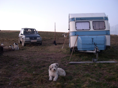Shepherds' caravan near Stana Domnilor
