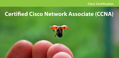 Banner_CCNA.jpg