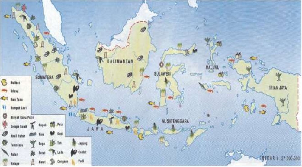 PERSEBARAN FLORA DAN FAUNA DI INDONESIA